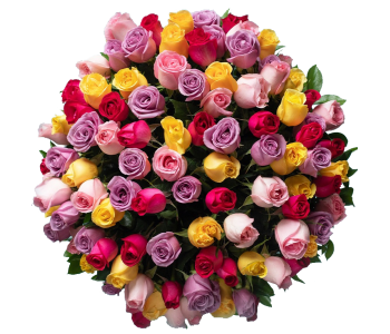 Flores Preservadas · Ramo Floral Gallerie · Envío Gratis – auro