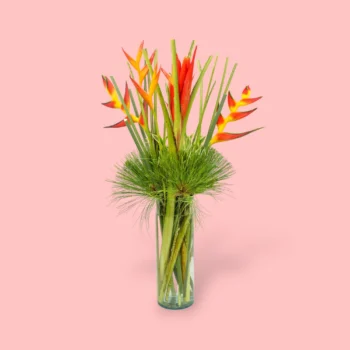 FONDO ROSA