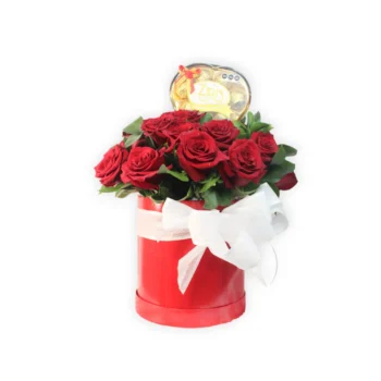 gerbera_red-Photoroom – 2024-05-28T095746.995