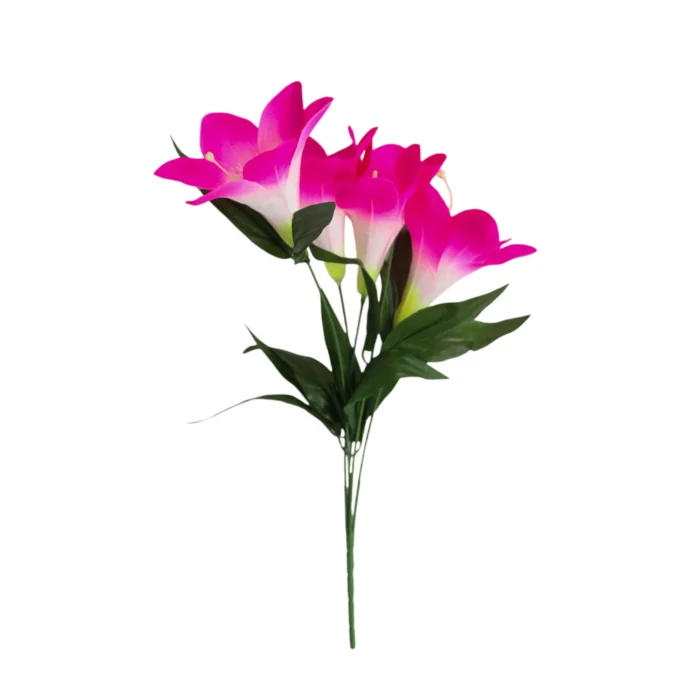 IMG_1817-Photoroom (6)