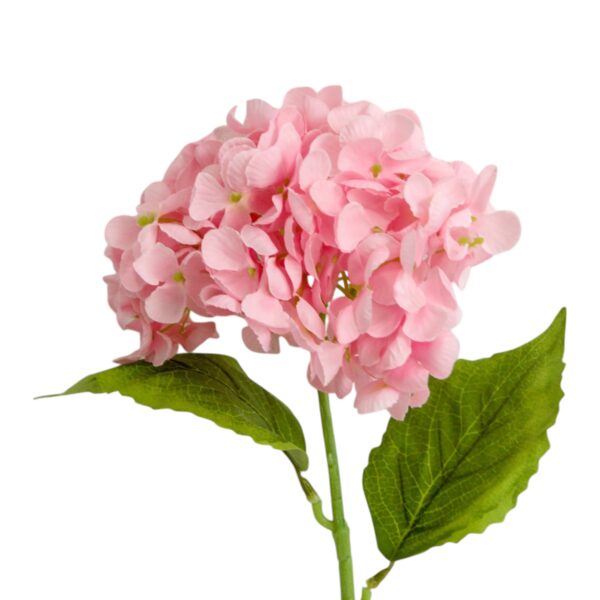 Single Hydrangea Stem