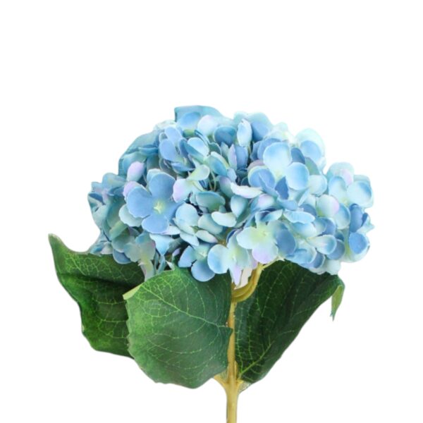 Single Hydrangea Stem