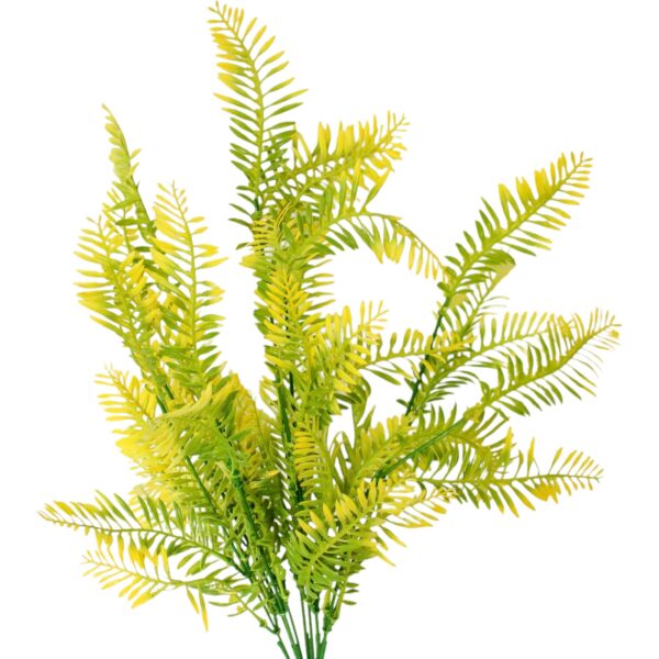 Psl Fern Bush x9