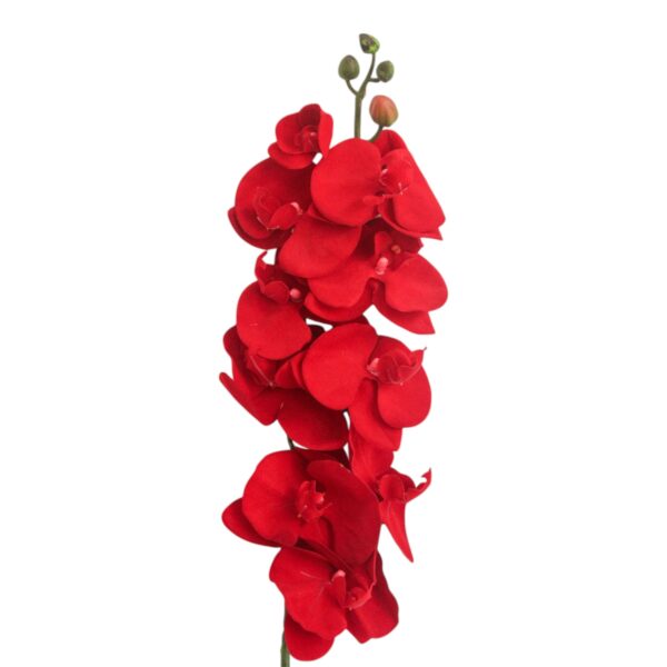 Velvet Orchid Stem Red