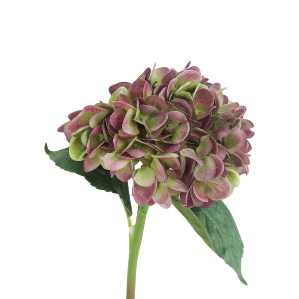 Single Hydrangea Stem