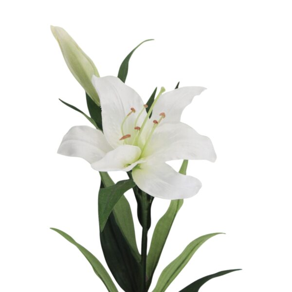 Stargazer Lily Spray