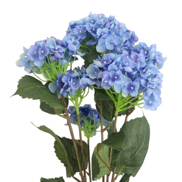 Hydrangea Bush x7