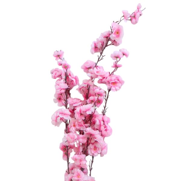 Cherry Blossom Branch