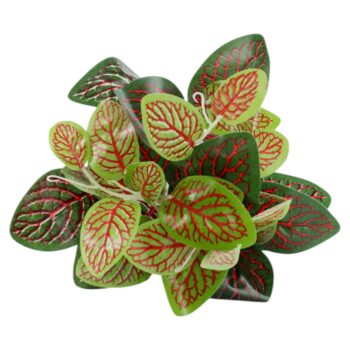 _flordelizbq__6_-600×702-removebg-preview-Photoroom (26)