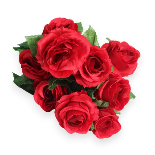 Elegance Rose Bush x9 Red