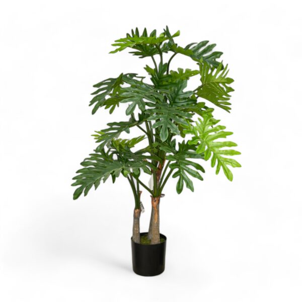 Planta Decorativa