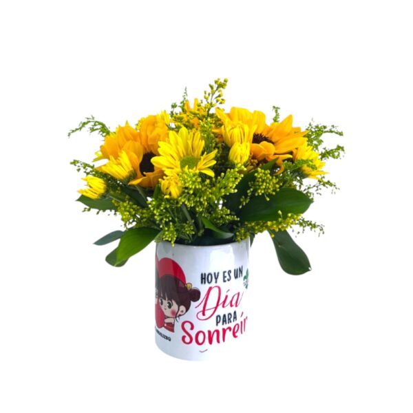 Mini Margaritas – Bienvenidos a Flor de Liz | Tienda virtual de Flores ...