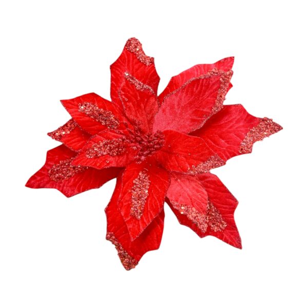 Single Poinsettia