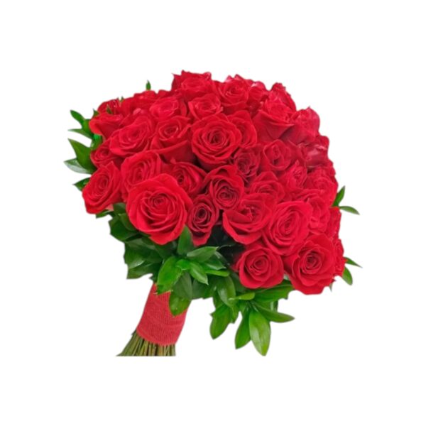 Rosas Rojas