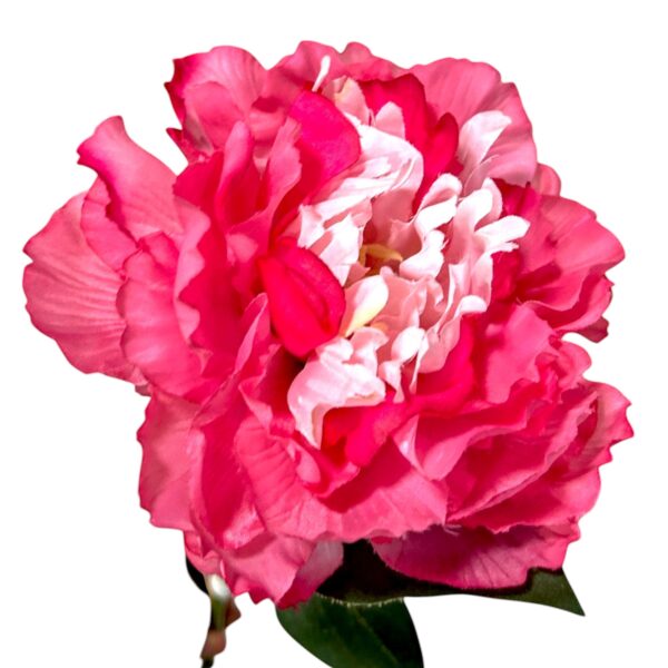 Peony Spray