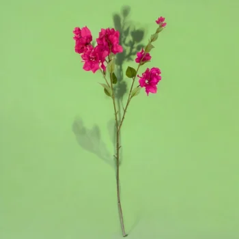 _flordelizbq__6_-600×702-removebg-preview-Photoroom (32)