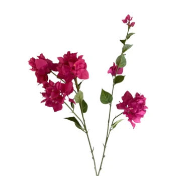 _flordelizbq__6_-600×702-removebg-preview-Photoroom (33)