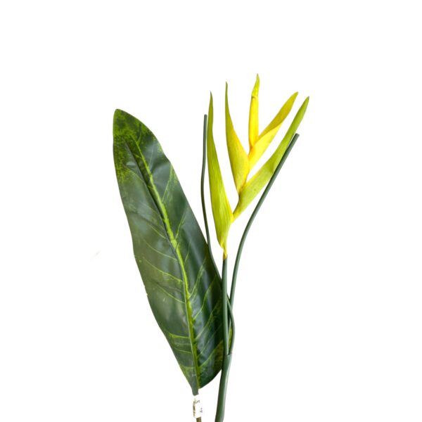 Strelitzia Stem W/leaf