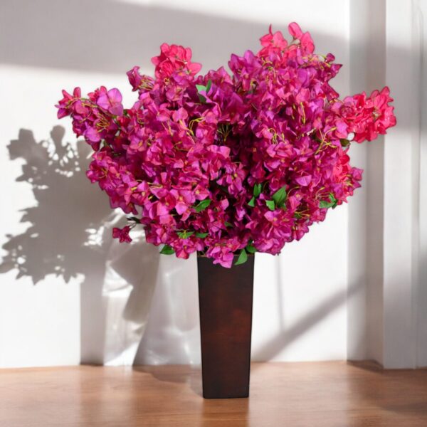 Bougainvillea Spray Bt