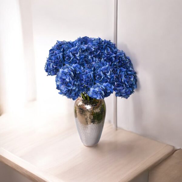 (Hortencia) Hydrangea M.