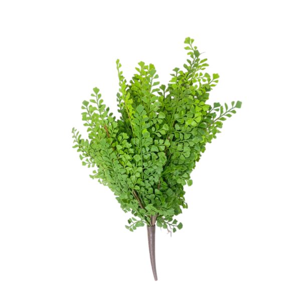 16" Maidenhair Fern Bush