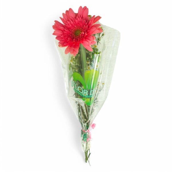 Gerbera En Bonche