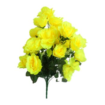 FOTO PLANTA ALTA CALIDAD-Photoroom (16)