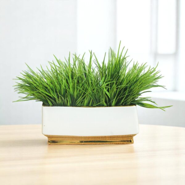 Grass Bush X7