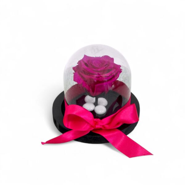 Rosa Preservada Fucsia Pequeña