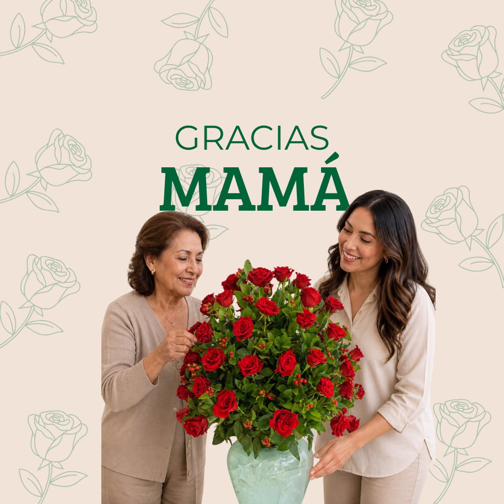 Image Slider