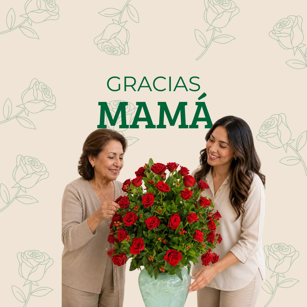 Image Slider