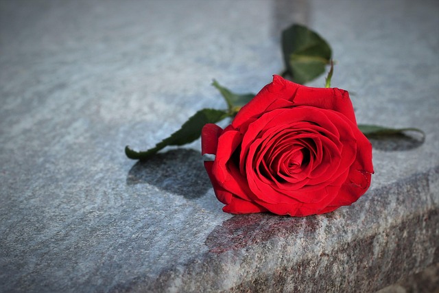 Flores para Funeral y Guía de Condolencias en Flor de Liz