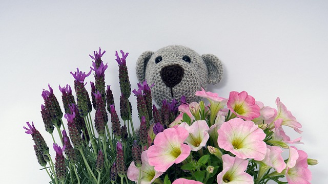 Flores para Cumpleaños y Guía de Regalos en Flor de Liz