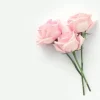 banner-7