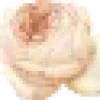 img-3